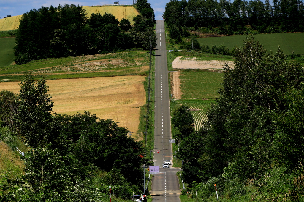 美麗ジエットコスタ－の道Ⅱ