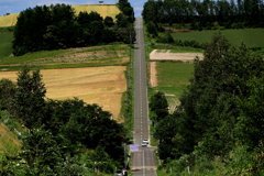 美麗ジエットコスタ－の道Ⅱ