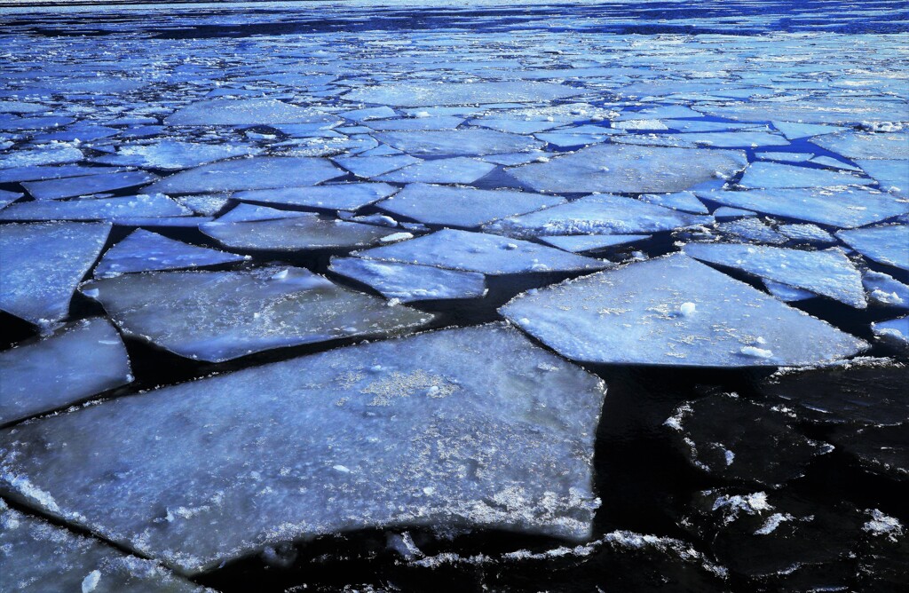 石狩川河口の板氷