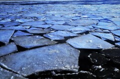 石狩川河口の板氷