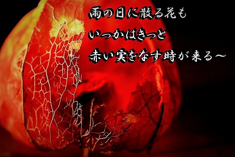 秋がやって来る(再投稿）