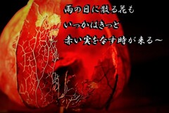 秋がやって来る(再投稿）