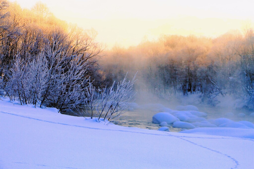 i凍てつく尻別川（蔵出）