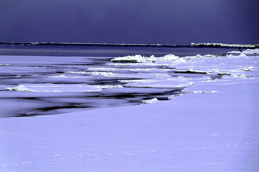 冬の石狩川河口