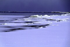 冬の石狩川河口