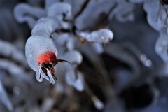 氷の世界Ⅱ