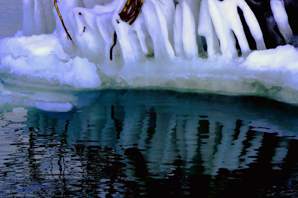 石狩川河口氷の世界