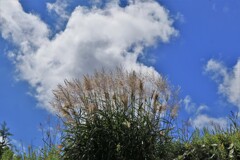 秋がやって来る♪