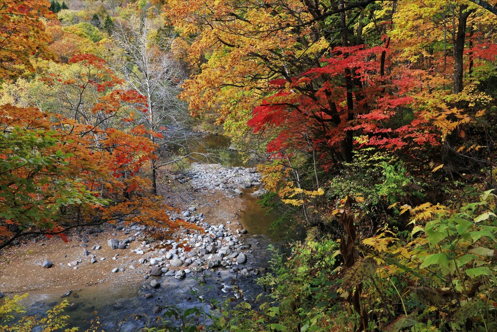 それぞれの秋♪