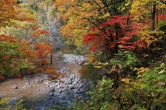 それぞれの秋♪