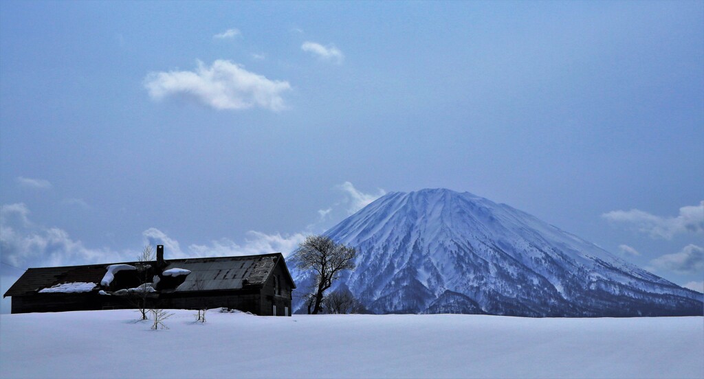 羊蹄山と一軒屋