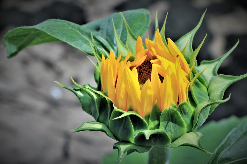 もう少し待ってね