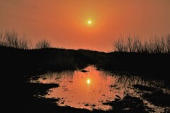 水たまりの夕陽