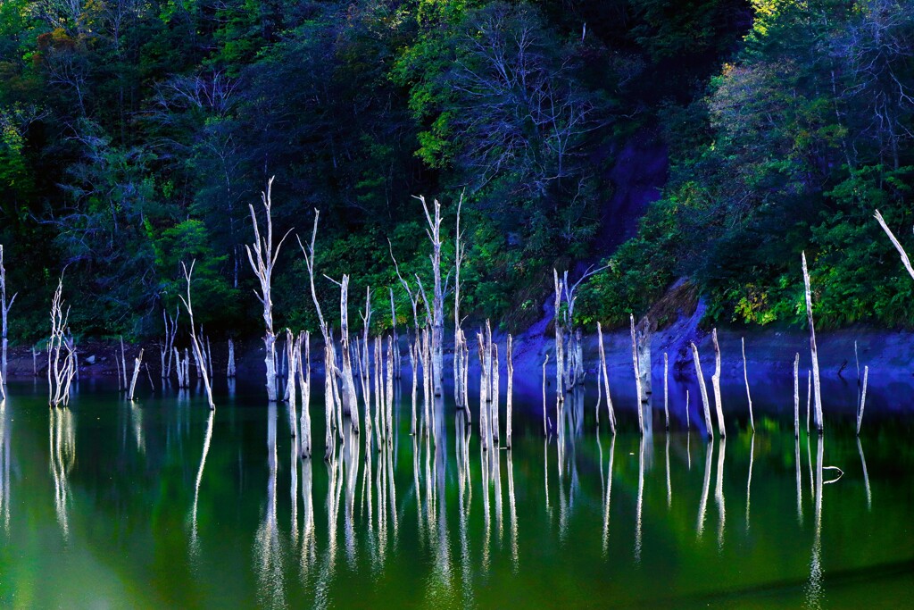 落合ダム湖（赤井川村〉