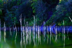 落合ダム湖（赤井川村〉