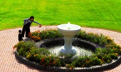 もう花は終りね～