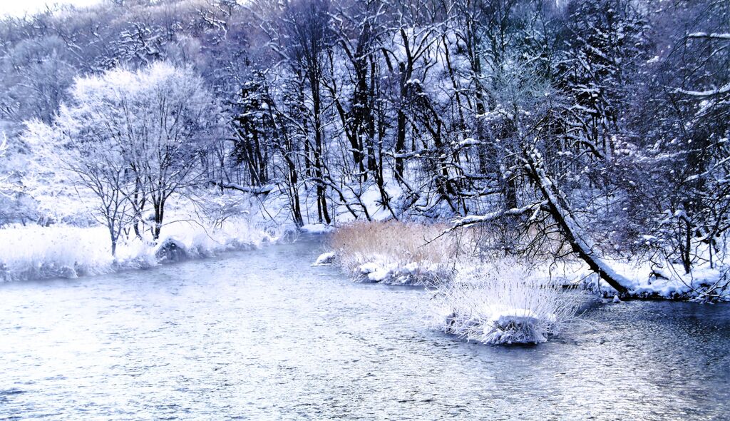 凍てつく千歳川（蔵出）