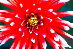 花火