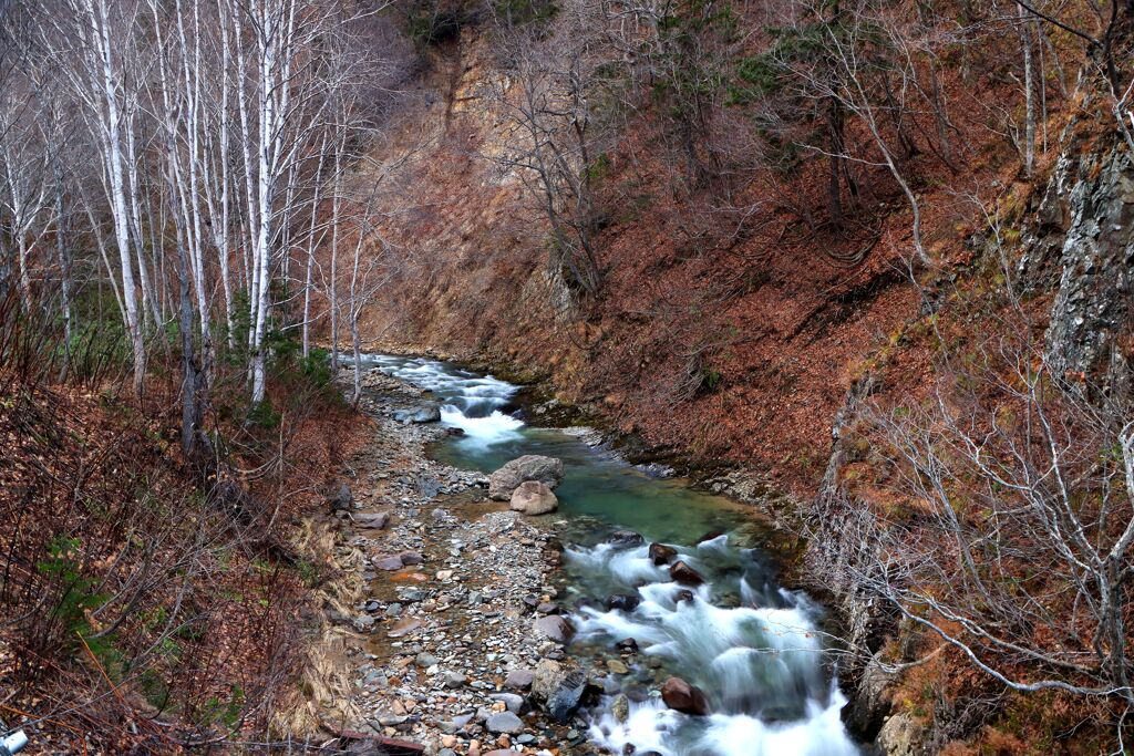 晩秋渓流Ⅱ