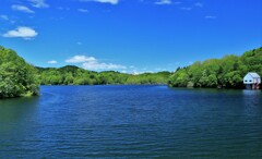 青山ダム湖