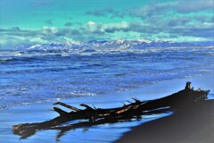 冬の石狩浜流木