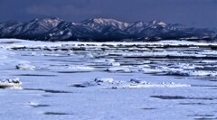 春がやって来る