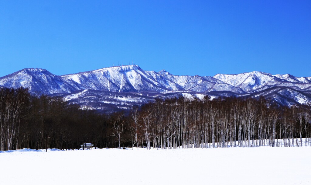 春が遠い手稲山