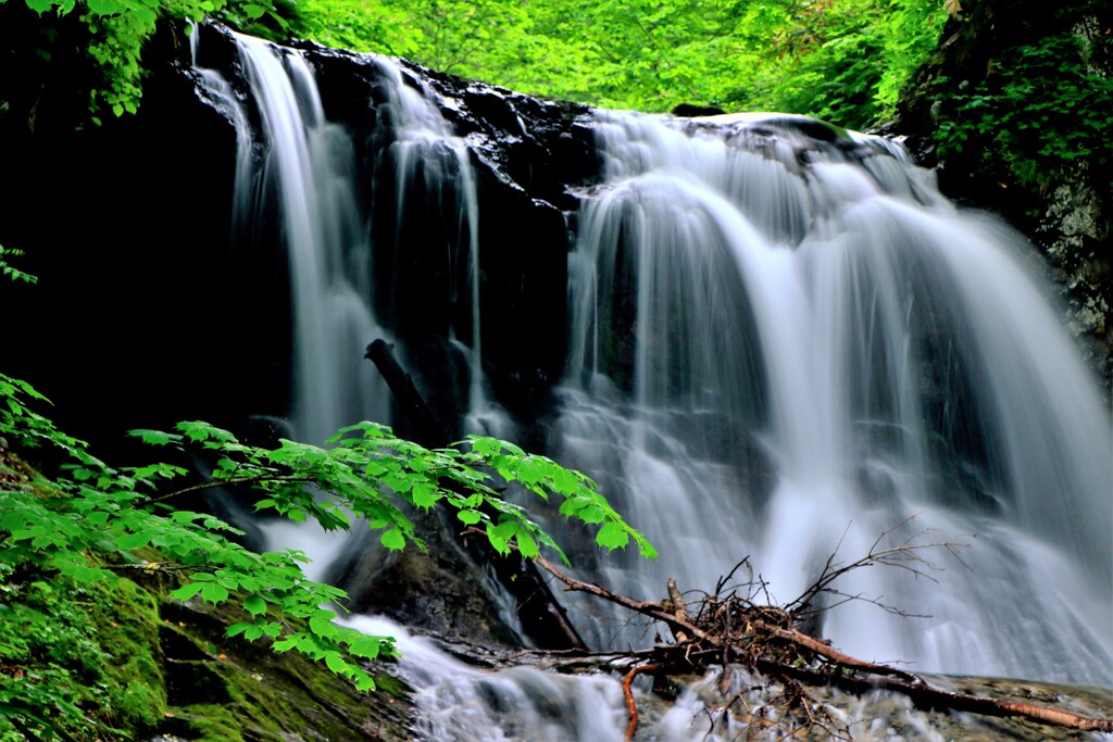 水温む(平和の滝）