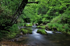 あ～あ川の流れのように♪