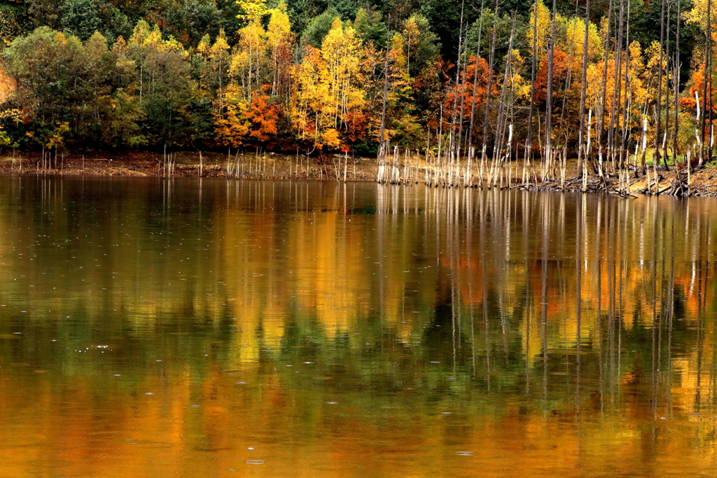 落合ダム（蔵出）