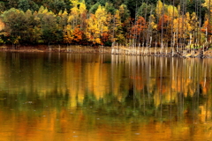 落合ダム（蔵出）