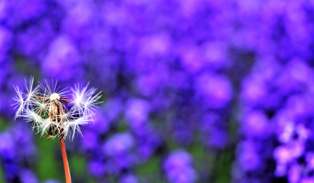 季節の移り変り