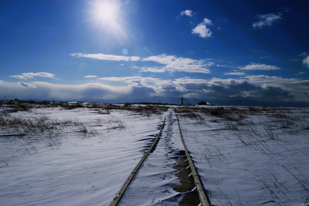 冬のハマナス丘公園
