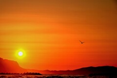 銭函海岸からの夕陽