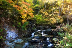 定山渓白井川渓流