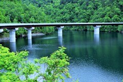 新緑のサッポロ湖