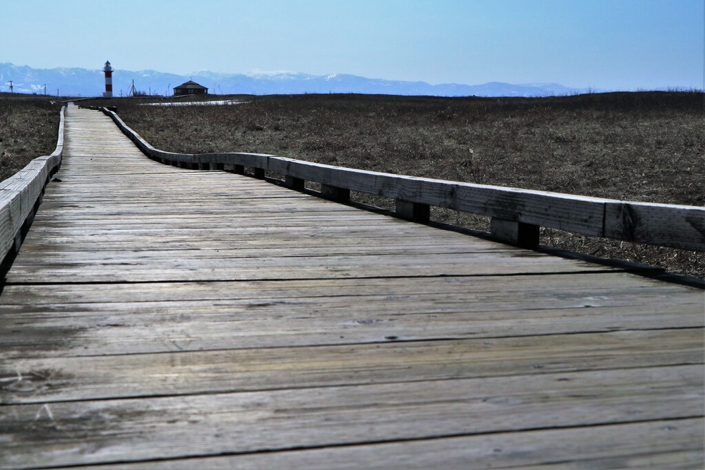 雪が解けました・…(⌒∇⌒)