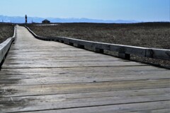 雪が解けました・…(⌒∇⌒)
