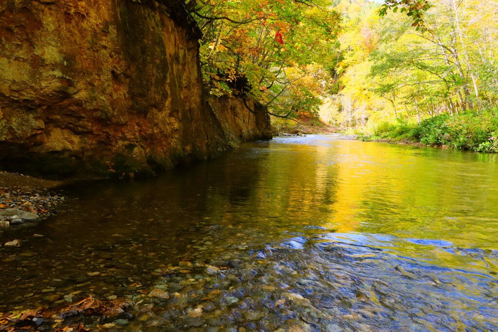 秋、川の流れのように♪