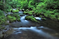 流れに身をまかせⅡ