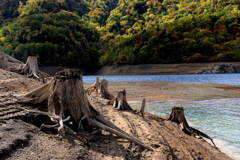 渇水状態の札幌湖