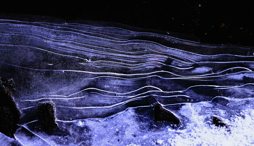 春遠い氷の世界