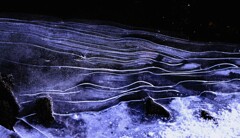 春遠い氷の世界