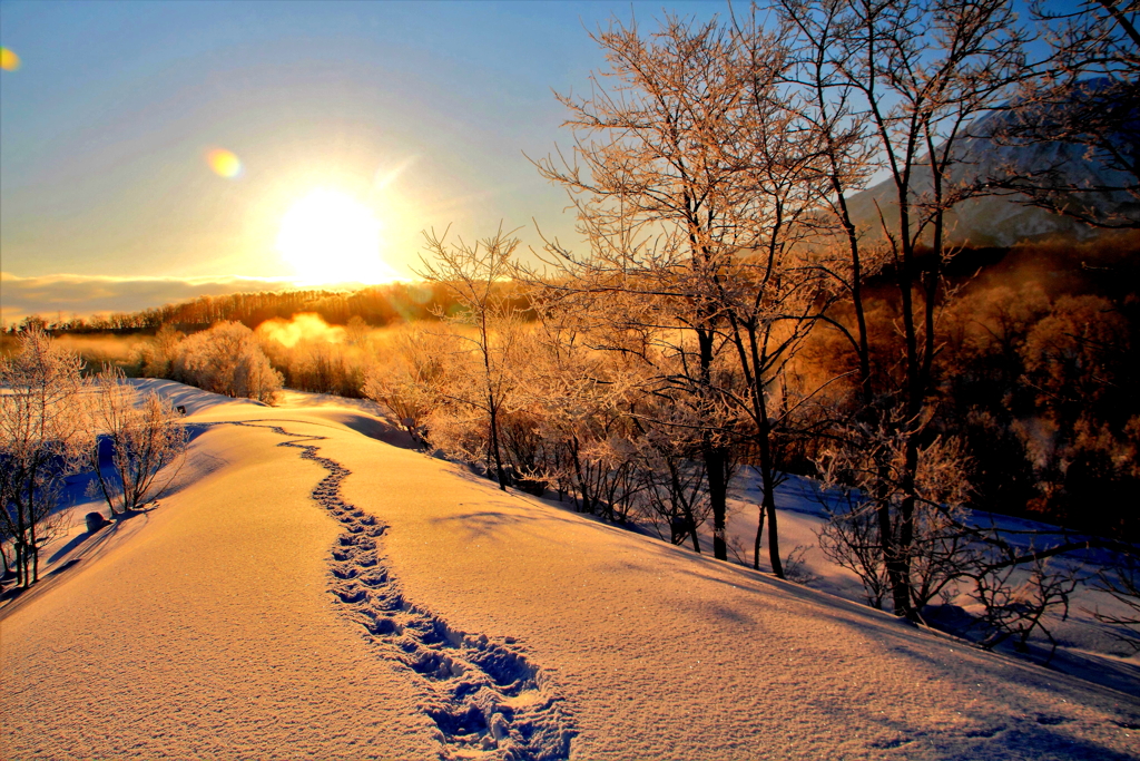 スノーシューの足跡(蔵出、再投稿）