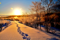 スノーシューの足跡(蔵出、再投稿）