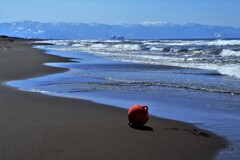 春の海(ひき潮）