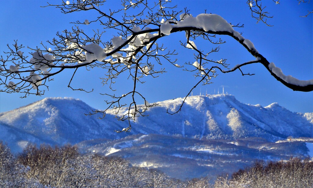 冬景色(後方手稲山）