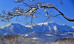 冬景色(後方手稲山）