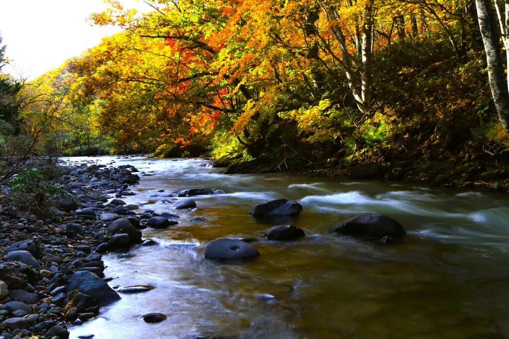 秋、川の流れのように♪