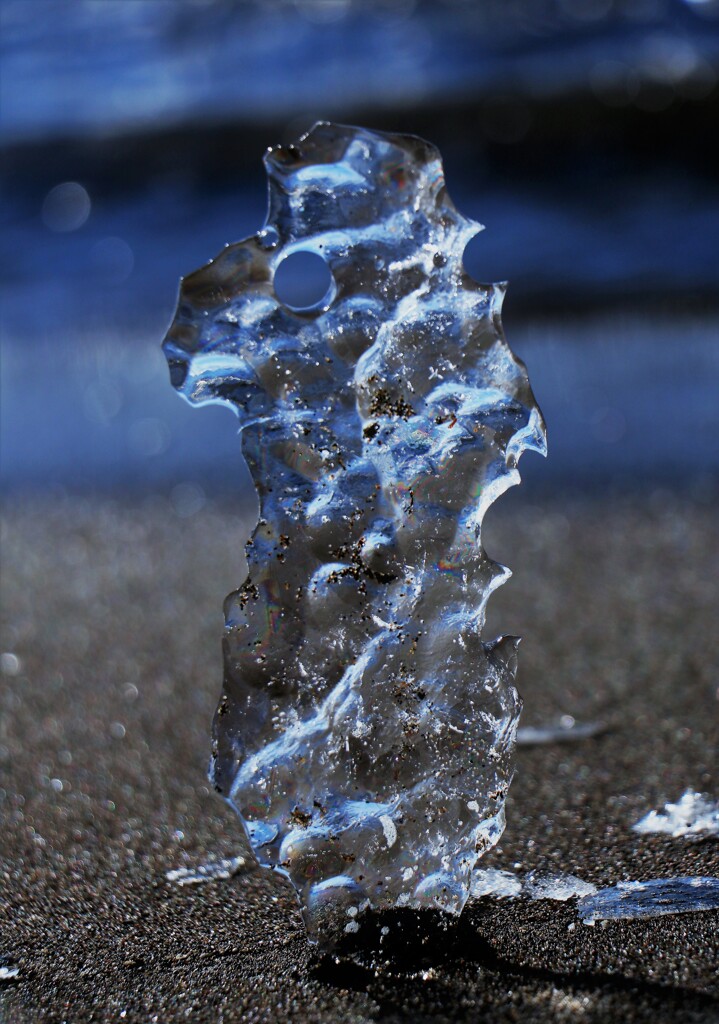 石狩川河口のジュエリーアイス